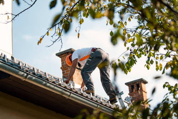 Best Storm Damage Roof Repair  in Mcgregor, TX